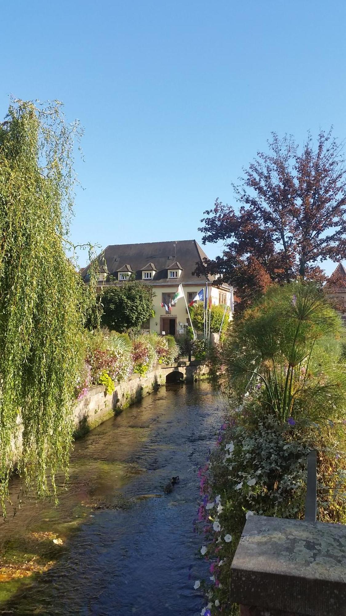 Meubles Du 25 N3 Studio 1Er Etage Niederbronn-les-Bains Εξωτερικό φωτογραφία